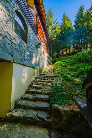 Pensiune, casa de vacanta, 6 camere, statiunea Rausor din Hunedoara - imagine 15