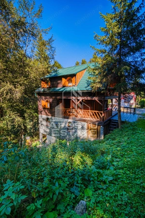 Pensiune, casa de vacanta, 6 camere, statiunea Rausor din Hunedoara - imagine 19