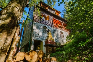 Pensiune, casa de vacanta, 6 camere, statiunea Rausor din Hunedoara - imagine 13