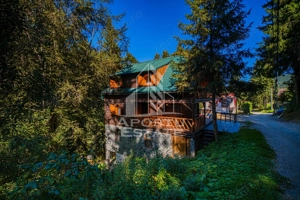 Pensiune, casa de vacanta, 6 camere, statiunea Rausor din Hunedoara - imagine 18