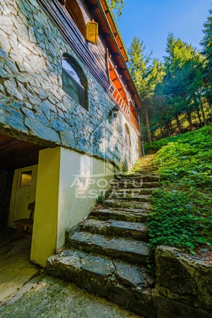 Pensiune, casa de vacanta, 6 camere, statiunea Rausor din Hunedoara - imagine 14
