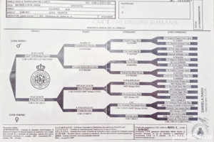 Bichon frise femelă  - imagine 2
