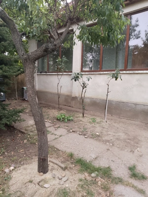 Se oferă spațiu pentru depozitare. - imagine 2