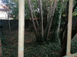 Casa Individuala zona Dambovita peste 450 Mp Teren - imagine 15