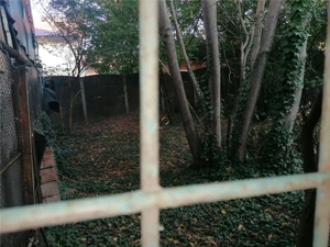 Casa Individuala zona Dambovita peste 450 Mp Teren - imagine 14