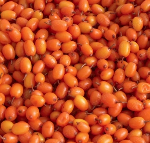 Vand catina congelata