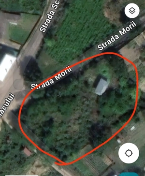 teren intravilan Luncavita - imagine 3