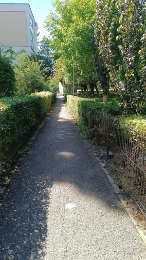 Apartament cu 3 camere , 60mp, Gheorgheni  Detunata  Iulius