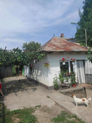 Teren Bălcescu Roman - imagine 3