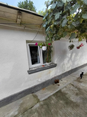 Teren Bălcescu Roman