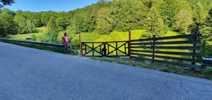 Teren Dambovicioara Bran Rucar Ciocanu - imagine 2