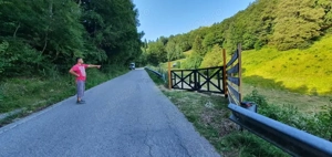 Teren Dambovicioara Bran Rucar Ciocanu - imagine 3