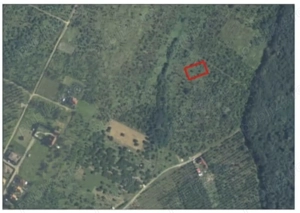 Teren Paleu 2x888mp lângă pădure