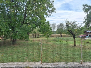 Teren intravilan Valea Mare - Pravat 5.500 mp - imagine 3