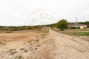 TEREN INTRAVILAN ARGESELU!!! - imagine 8