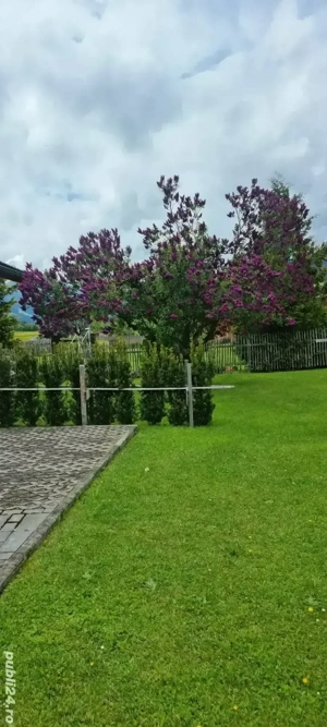 Apartament Brezoi VL