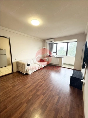 Apartament 2 Foarte Spatios cu Vedere Panoramica - Bulevardul Ferdinand - imagine 2