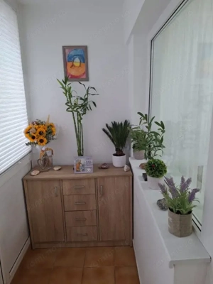 Apartament cu 3 camere, 53 mp, zona Malu Roșu - imagine 13