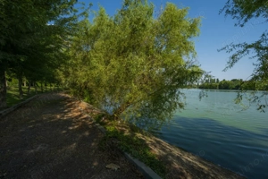 Barbu Vacarescu, Laguna Residence, Vedere Lac, Parcare, Comision 0 % - imagine 5