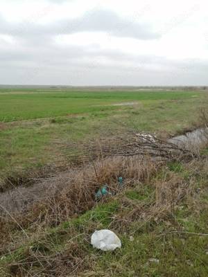 Teren agricol 8.14 ha