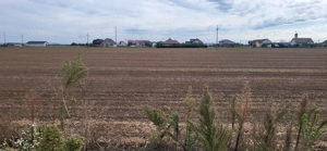 Teren intravilan 500m2 Livada de Bihor - imagine 2