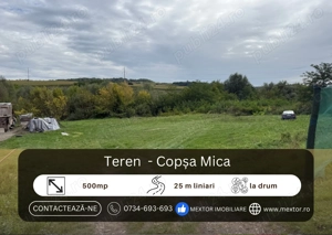 Teren Copsa Mica