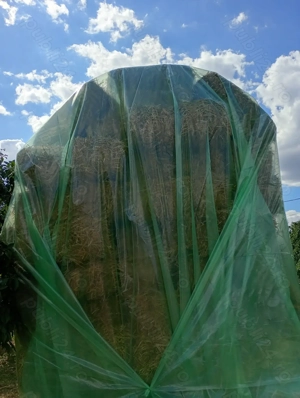 Baloți de paie de grau Glosa!  - imagine 2