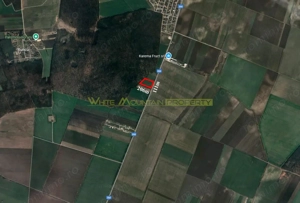 Dascalu, Ilfov, 2 ha teren de vanzare - imagine 2