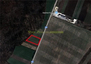 Dascalu, Ilfov, 2 ha teren de vanzare - imagine 3