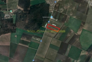 Afumati, Ilfov, 13.3 ha teren de vanzare - imagine 2