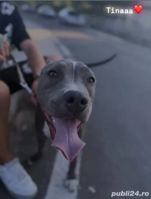 catea amtaff - imagine 2 catea amtaff - imagine 2