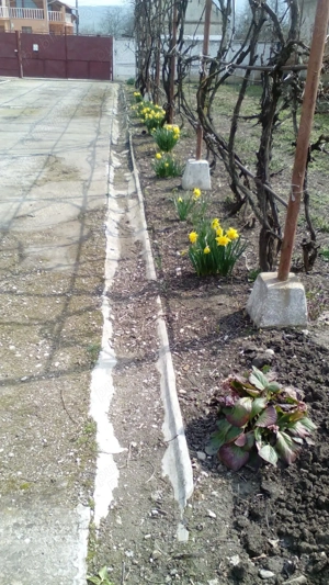  inchiriere sau vanzare - imagine 10