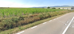 Teren Intravilan Pianu de Jos, DJ704A, Jud. Alba, 5,8ha PUZ industrial - imagine 4