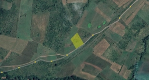 Teren extravilan de vanzare - 5700 mp in Judetul Brasov