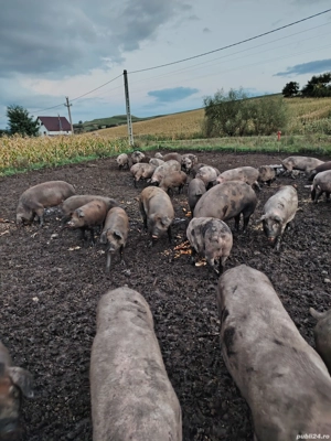 120 130 140 150 160 170 180 190 kg