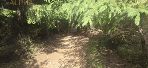 Teren intravilan cu priveliste spectaculoasa - Piatra Fantanele - imagine 6