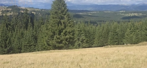 Teren intravilan cu priveliste spectaculoasa - Piatra Fantanele - imagine 4