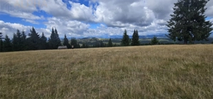 Teren intravilan cu priveliste spectaculoasa - Piatra Fantanele - imagine 5