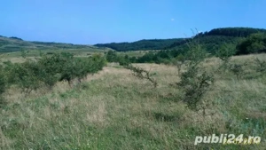 Vand teren intravilan  - imagine 2