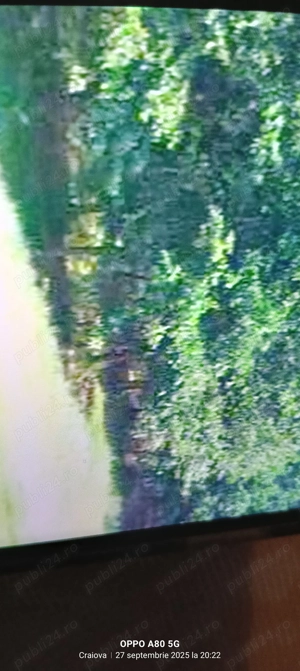 Vând 14 Ha de pădure - imagine 2