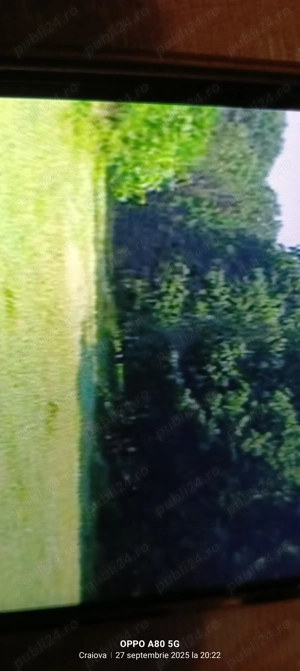 Vând 14 Ha de pădure