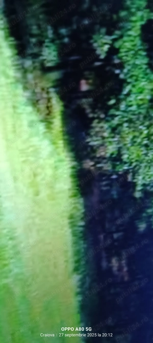 Vând 14 Ha de pădure - imagine 7