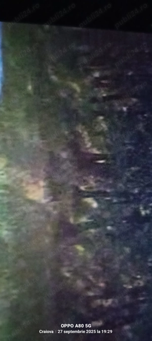 Vând 14 Ha de pădure - imagine 9