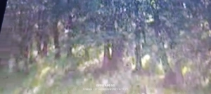 Vând 14 Ha de pădure - imagine 8