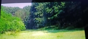 Vând 14 Ha de pădure - imagine 11