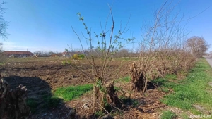 Super Preț!Loc pentru casa.teren de casa.intravilan.casa de vacanta