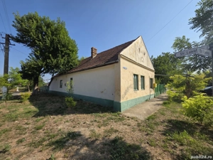 casa localitatea satchinez - imagine 4