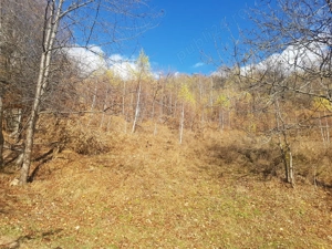 Teren Valea Ierii, sat Plopi orientare sudică - imagine 3