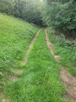 Teren Valea Ierii, sat Plopi orientare sudică - imagine 6