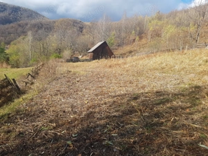 Teren Valea Ierii, sat Plopi orientare sudică - imagine 9